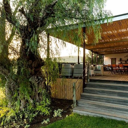 Affittacamere Swartberg Country Manor Matjiesrivier  Esterno foto