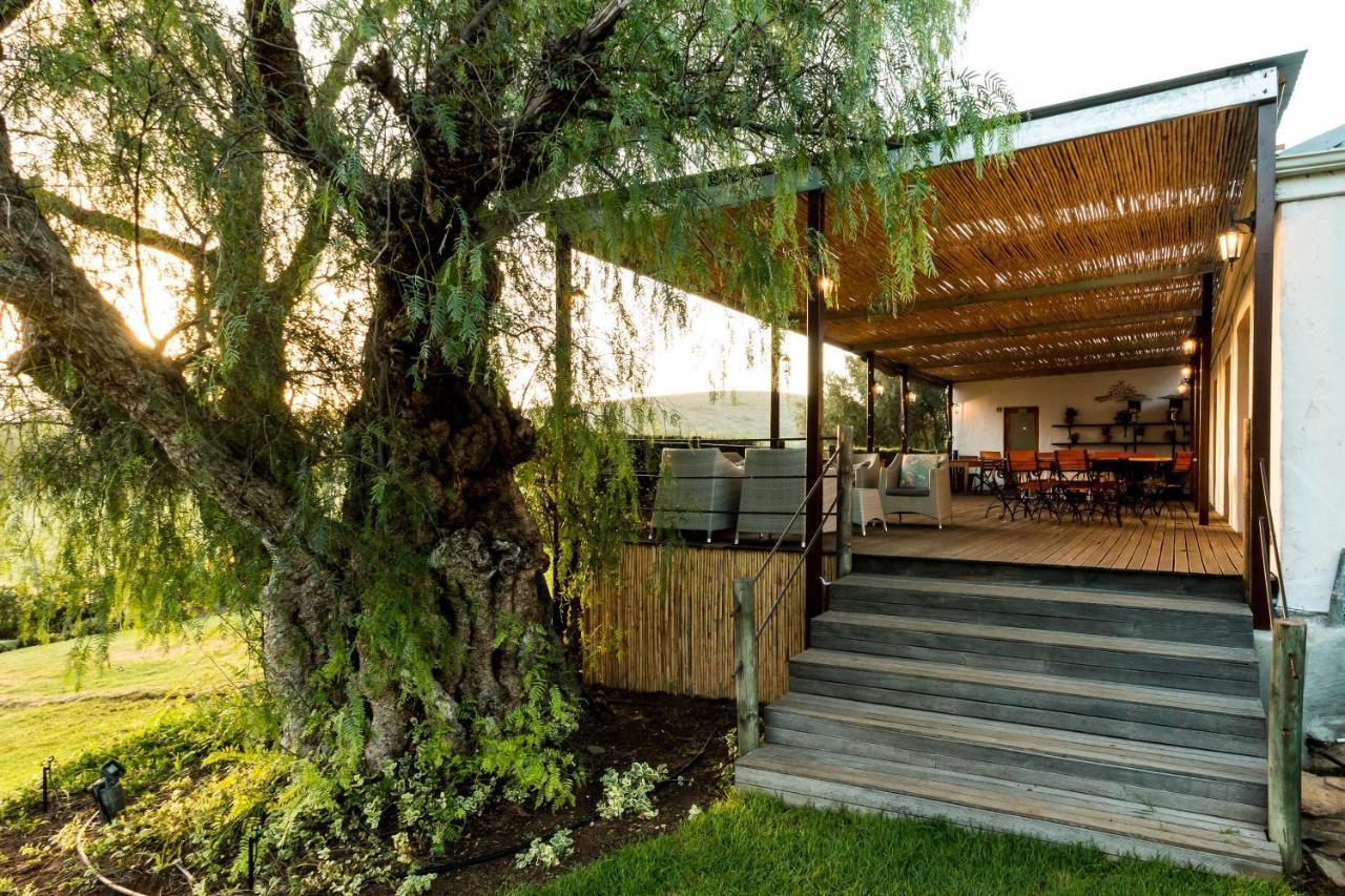 Affittacamere Swartberg Country Manor Matjiesrivier  Esterno foto