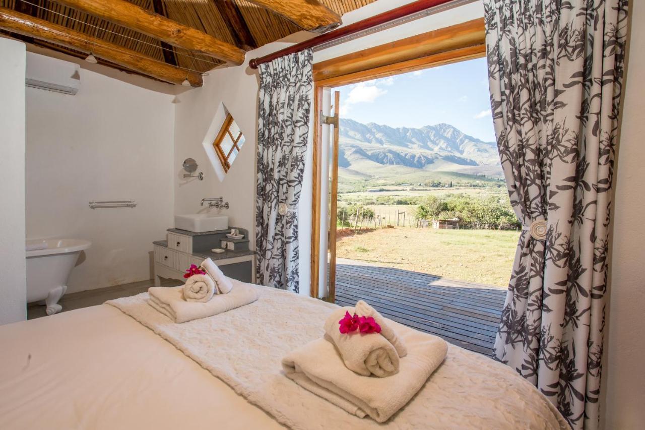 Affittacamere Swartberg Country Manor Matjiesrivier  Esterno foto