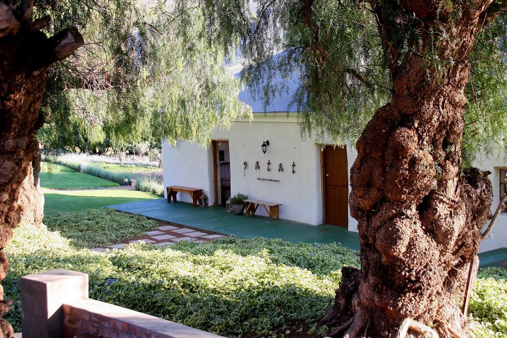 Affittacamere Swartberg Country Manor Matjiesrivier  Esterno foto