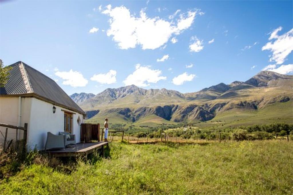Affittacamere Swartberg Country Manor Matjiesrivier  Esterno foto