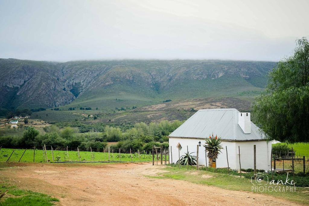 Affittacamere Swartberg Country Manor Matjiesrivier  Esterno foto