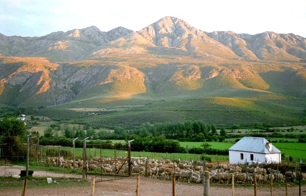 Affittacamere Swartberg Country Manor Matjiesrivier  Esterno foto