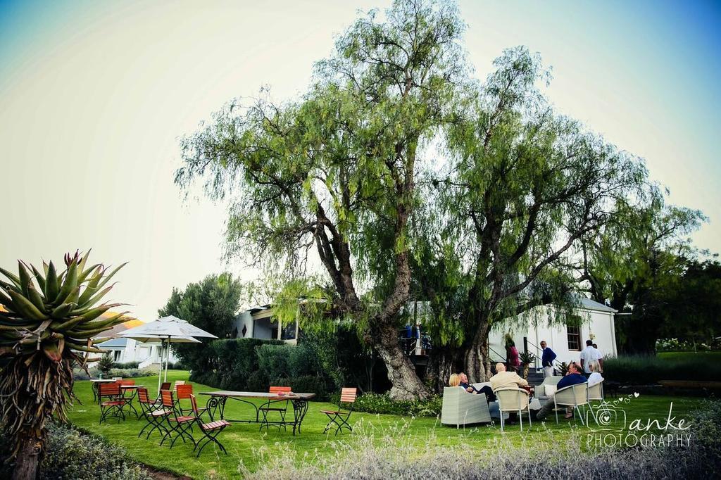 Affittacamere Swartberg Country Manor Matjiesrivier  Esterno foto